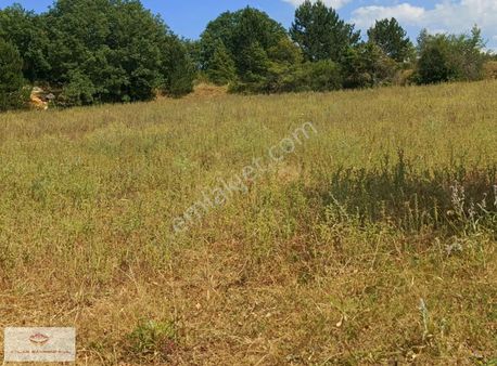 Satılık Tarla Merkez Üyücek