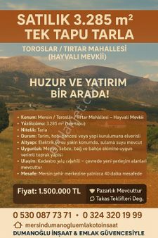 🏡 Satılık 3.285 M² Tek Tapu Tarla – Toroslar / Tırtar Mahallesi (hayvalı Mevkii) 🏡