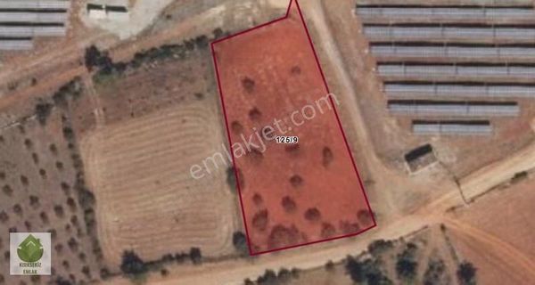 Muğla Menteşe Çırpı Mahallesinde Yatırımlık Tarla...