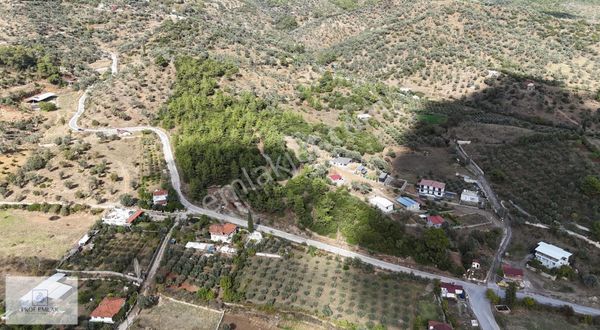 30 Vilalık Köy Yerleşim Alanında Fırsat Arazi(takasa Açık)