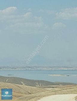 Turyap'tan Satılık Fıstık Bahçesi