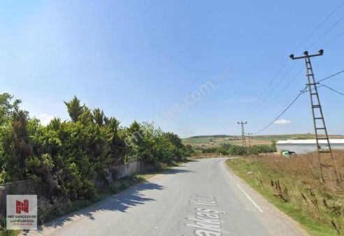 İstanbul Çatalca Nakkaş'ta 10.447 M2 Satılık Hisseli Tarla