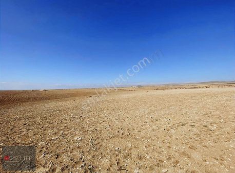 Rw Lıfe // Eskişehir Sivrihisar Paşakadında Satılık Tarla