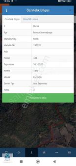 M.kemalpaşa Melik Köyde 10.100 M2 Satılık Arazi