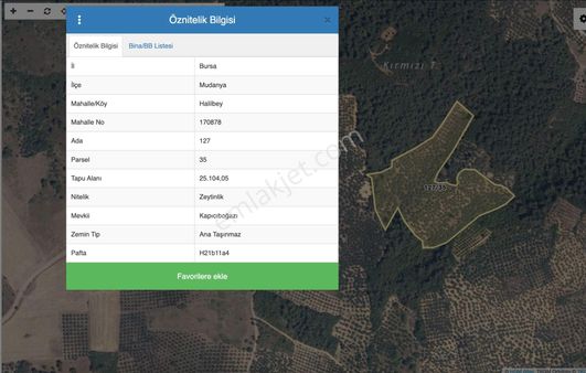 Mudanya Halilbey Mahallesi Satılık 25 Dönüm Arazi