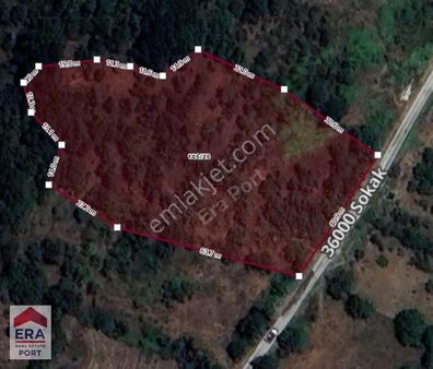 Era Port Güvencesiyle Balıkesir Susurluk'ta Satılık Tarla