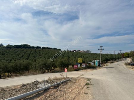 Mudanya Mürsel Ticari İmarlı 1876 M2 Satılık Arsa