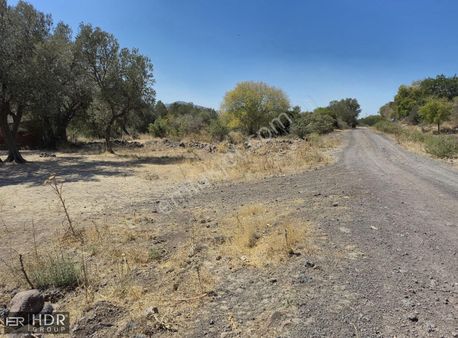 Aliağa Helvacıda Satılık Tek Tapu Tarla