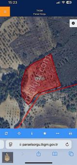 Bilecik Merkez Ören Mah. 5.854,92 M2 Satılık Tarla