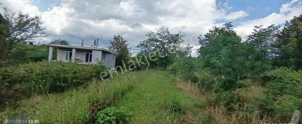 Görgülü Emkaktan Satılık Fındık Bahçesi Ve Ev Kocalar