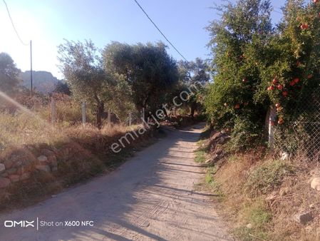 Aydın Nazilli Sailer Köyünde Satılık Hobi Bahçesi