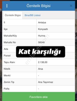 Hurma Da Kat Karşılığı