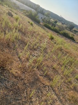 Hatıplar Mahallesinde Satılık Arsa