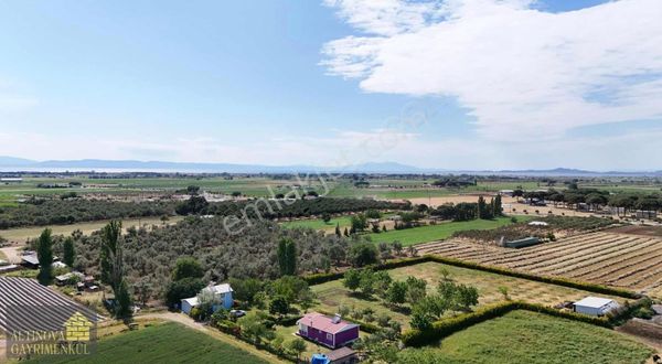 Altınova Merkezi Konumda Resmi Ruhsatlı 2 Evi Bulunan Çiftlik