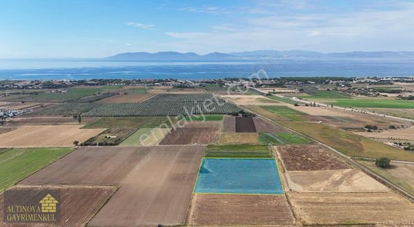 Altınova'da Fırsat ! Yatırımlık Resmi Yolu Bulunan Satılık Tarla