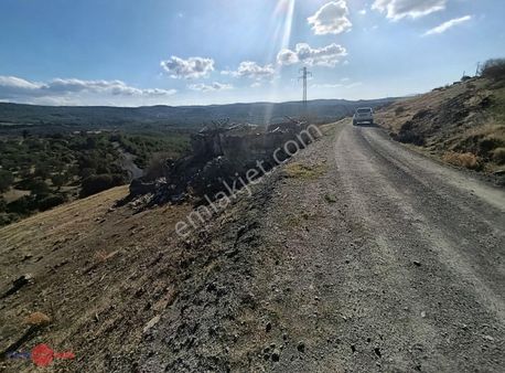 Kınık Çiftlik Köyünde 3.658 M² Köyiçi Arsa