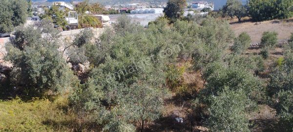 Gazipaşa D 400 Yol Üstü Avm Karşı Satılık