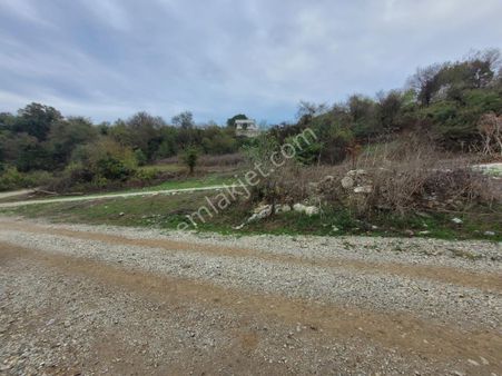 Kaynarca Müezzinler Mahallesinde Köyiçi İmarlı Arsa