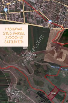 Everest 21 Gayrimenkulden Hashavarda Satılık Tarla