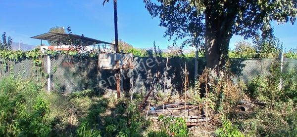 Aydın Nazilli İsabeyli Mahallesinde Satılık Hobi Bahçesi