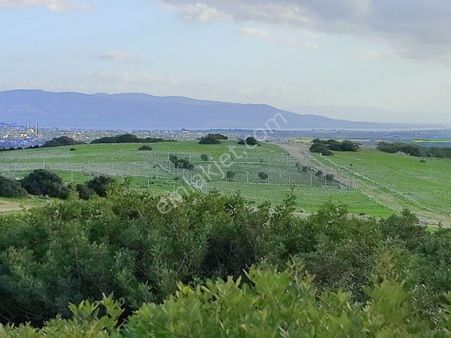 Aydın Didim Akyeniköy Bozseki Mevkii 300m² Satılık İmarlı Arsa