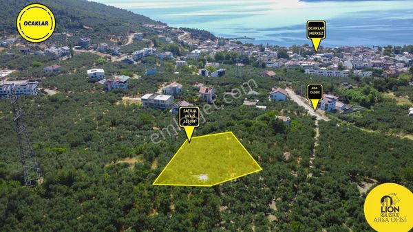 🟨⬛erdek Ocaklar'da Merkeze Yakın Konumda 1.250m² Satılık Zeytinlik⬛🟨