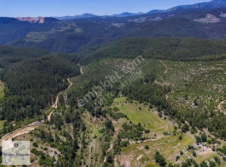 1000 M2 0.5 Emsal Villa İmarlı Arsa Yatırım Fırsatı