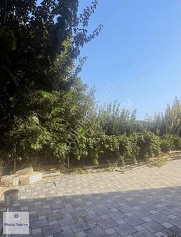 Altınova'da 1+1 Sıfır Satılık Daire