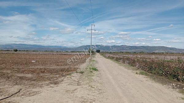 Cumalı Ovasında Sontajı Elektriği İçinde 19 Dekar Tarla