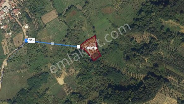 Kocaeli Kartepe Avluburun Mahallesi'nde 4090 M2 Yatırımlık Tarla