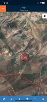 Merkeze Yakın Acil Satılık Tarla