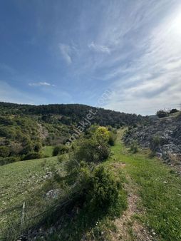 Çanakkale Kirazlı Köyü Satılık Tarla