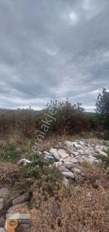 Dikili Kabakum Köyünde Kadastrol Yolu Mevcut 8620metrekare Tarla Satılık