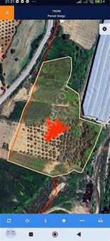 Yılmaz Emlaktan Yavru Doğanda. Mustakil Tapu