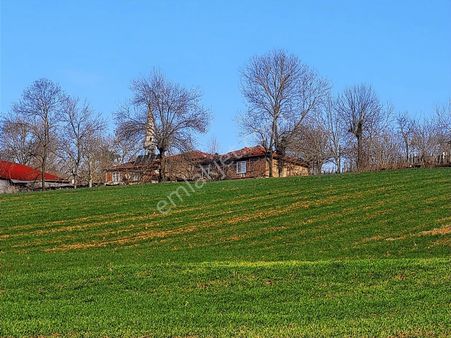 Köy Kenarı Şekli Güzel Fırsat Nefsiyadeş Köyü Kandıra Ya 6 Km