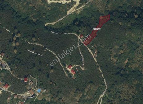 Yeşilyurt'da Merkezi Konumda Satılık Arsa