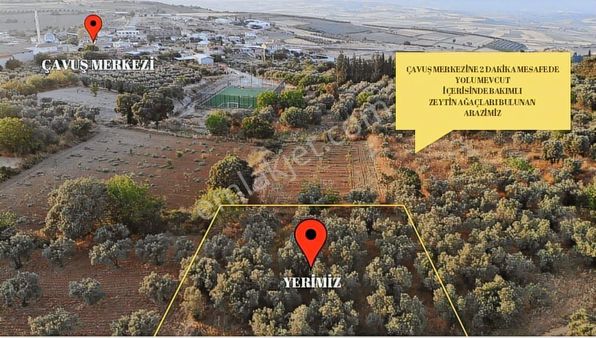 Karacabey Çavuş Mah. Kaçırılmayacak Fırsat Arazi