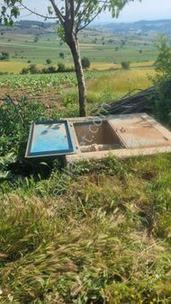 Bursa Yenısehır Kızılköyde Satilik Bahçe