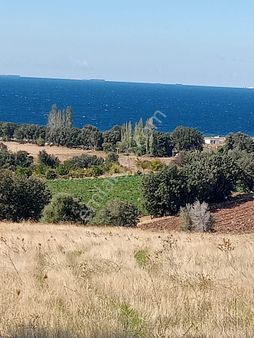 Ayvacık Kösedere Köyünde 18240 M2 Kapanmaz Deniz Manzaralı Tarla