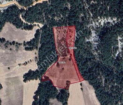 Göynük Hacımahmut Köyü 13563m2 Satılık Tarla