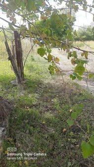 Fevziyede Satılık Rızai Taksimli 2510 M2 Yer.videosu Mevcut