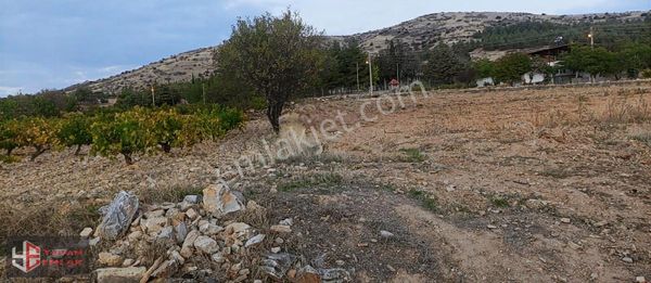 Çal Süller Köy İçinde Satılık Fırsat Tarla