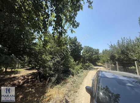 Çukurcada Satılık 8 Dönüm Armut Bahçesi