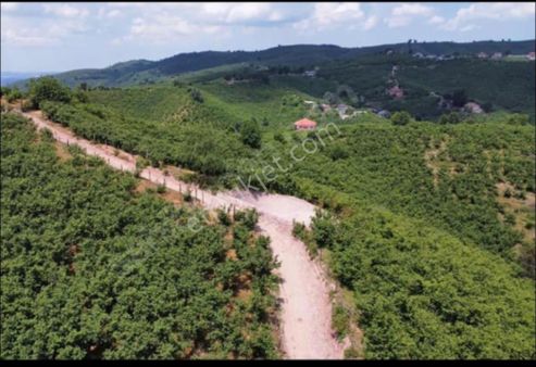 Satılık Yola Cephe % 40 Konut İmarlı Arsa Hendek Dereköy Mh