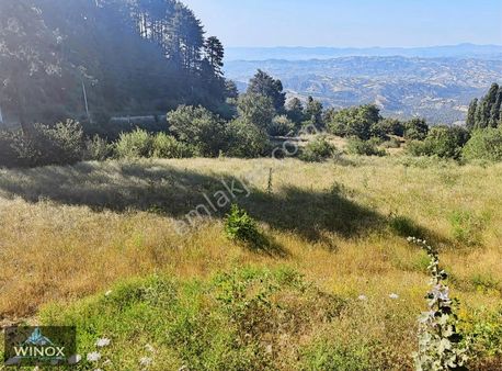 Buldan Yayla'da 917'm2 Yatırımlık Yol Cepheli Tarla