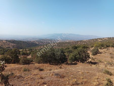 Manisa Salihli İğdecik Mahallesi Köye 1 Km Mesafede Acil Satılık Yatırım Fırsatı 2200 M2