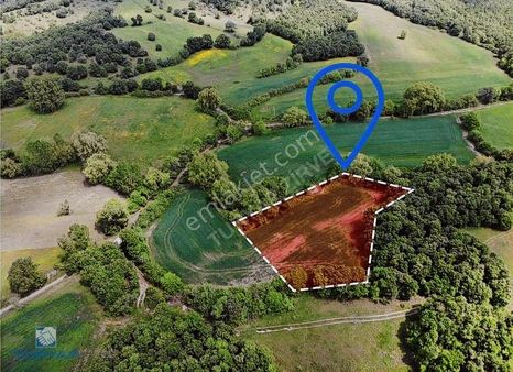 Çanakkale Biga Hacıköy'de 2931 M2 Satılık Tarla