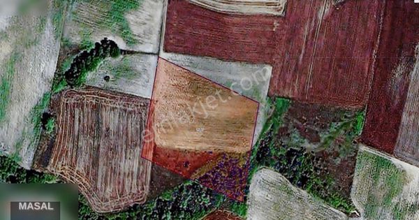 Edirne Havsa Azatlı Köyü 10 Dönüm Satılık Tarla