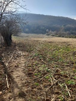 Bilecik Merkez Karaağaç Köyü Satılık Tarla