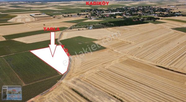 Saray Kadıköy Mah Köye Yakın Resmi Yola Cephe Tek Tapu Tarla